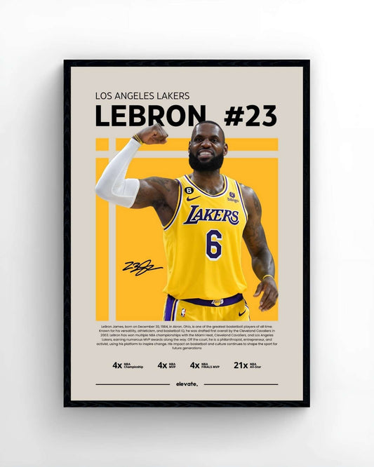 Lebron James - Profile