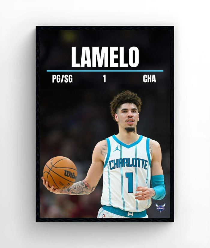 LaMelo Ball - Elevate
