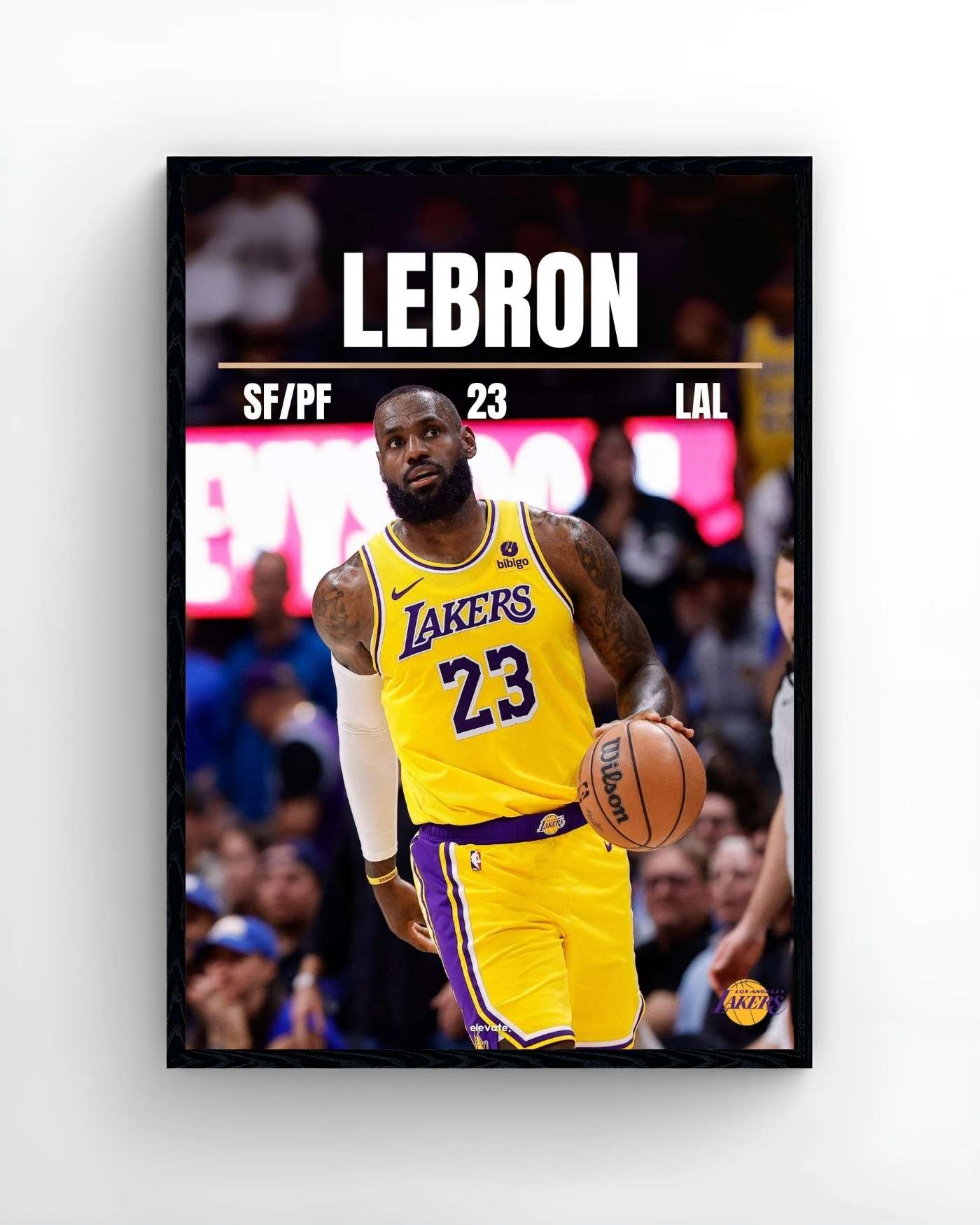 LeBron James
