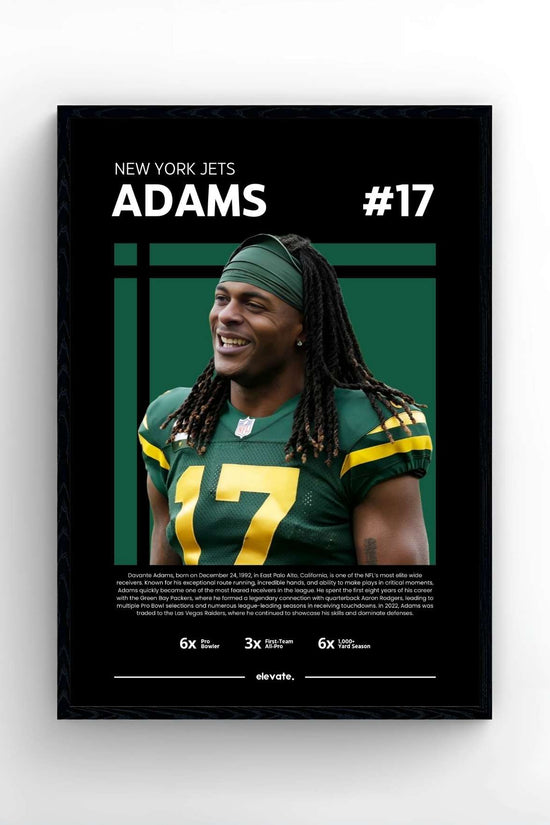 Davante Adams - Profil
