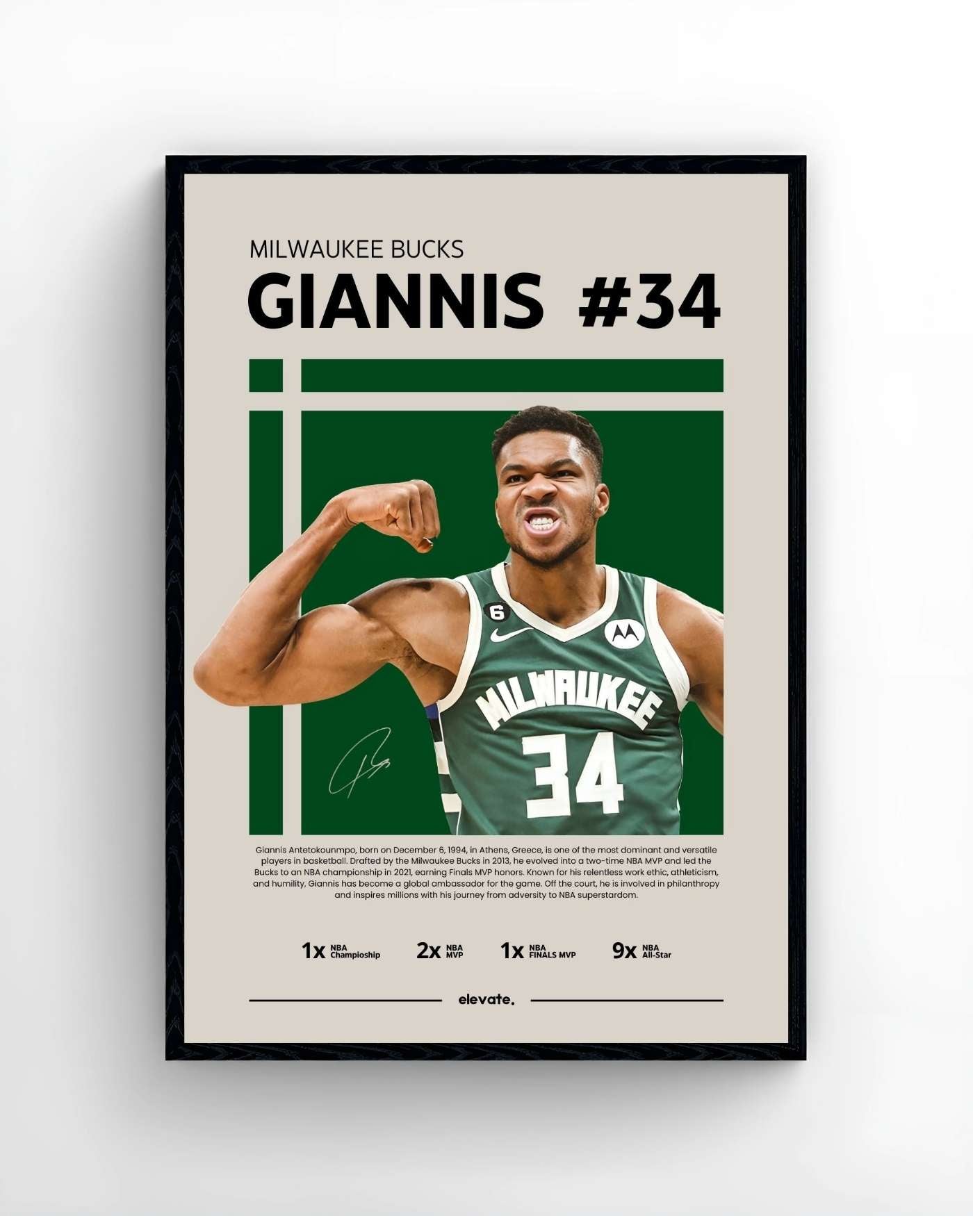Giannis Antetokounmpo – Profil