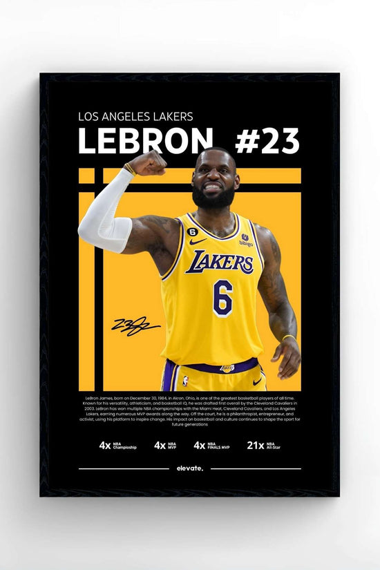 Lebron James - Profil