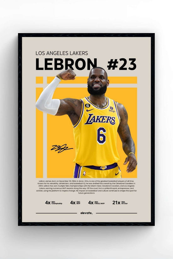Lebron James - Profil
