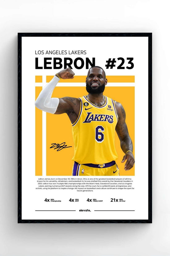 Lebron James - Profil