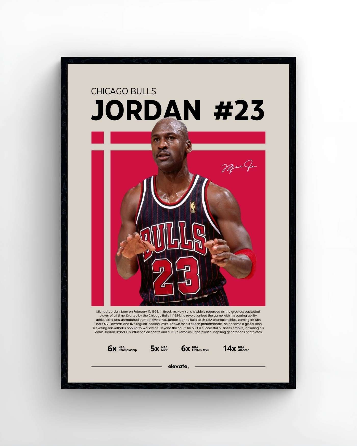 Michael Jordan - Profil