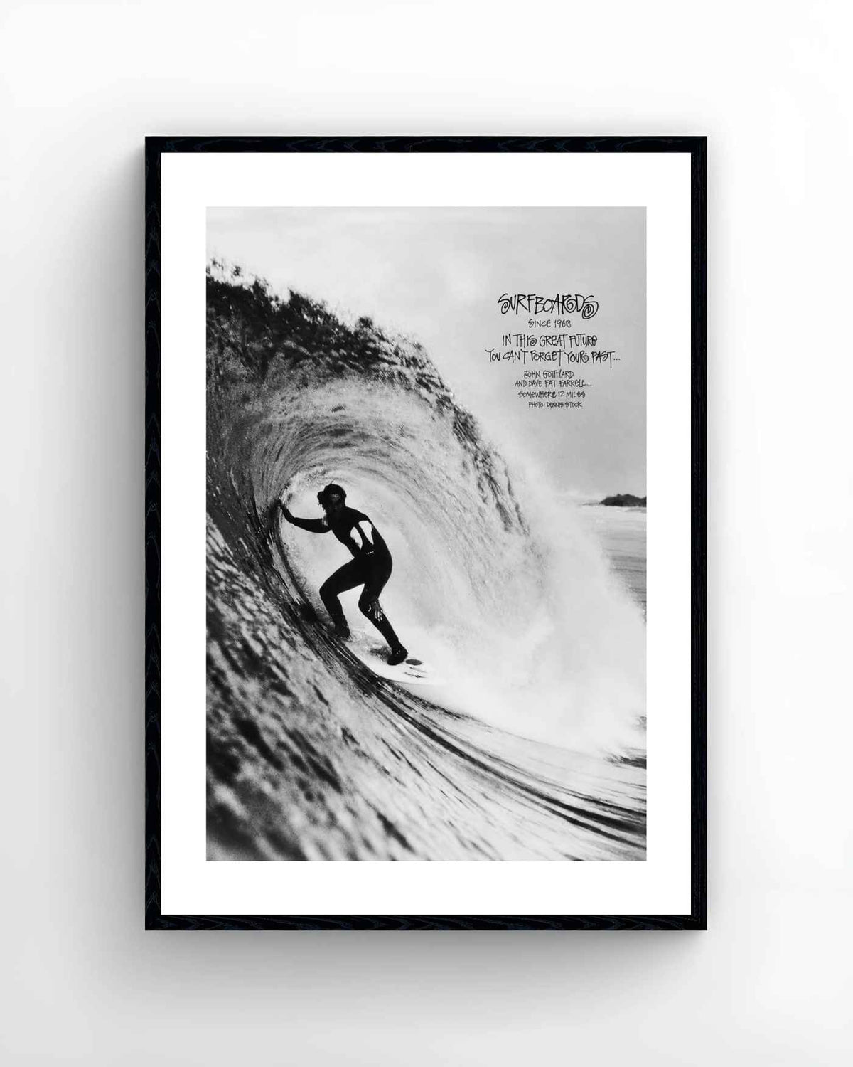Surf - Forget Your Past - Elevate