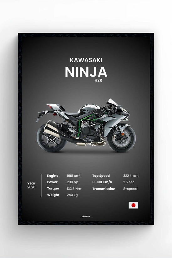 Kawasaki Ninja
