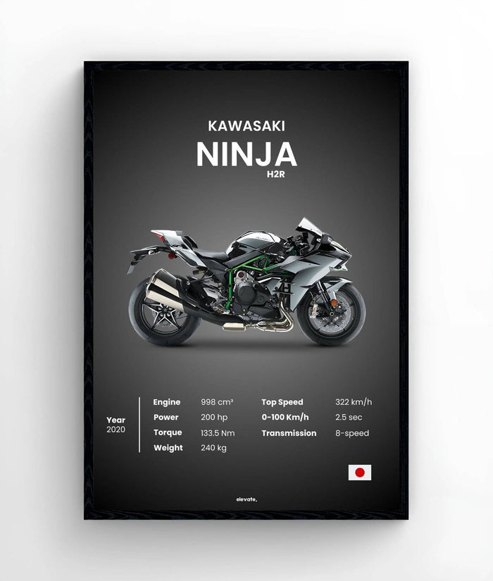 Kawasaki Ninja