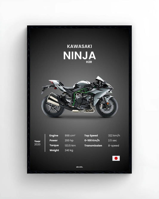 Kawasaki Ninja
