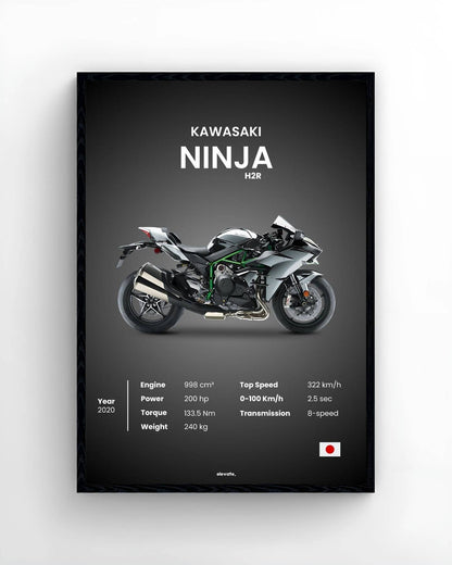 Kawasaki Ninja - Elevate