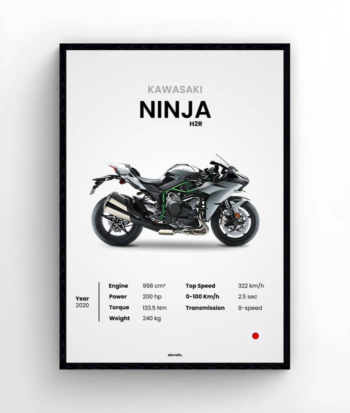 Kawasaki Ninja