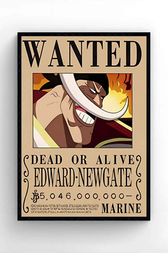 One Piece - WANTED 3D