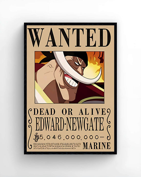 One Piece - WANTED 3D
