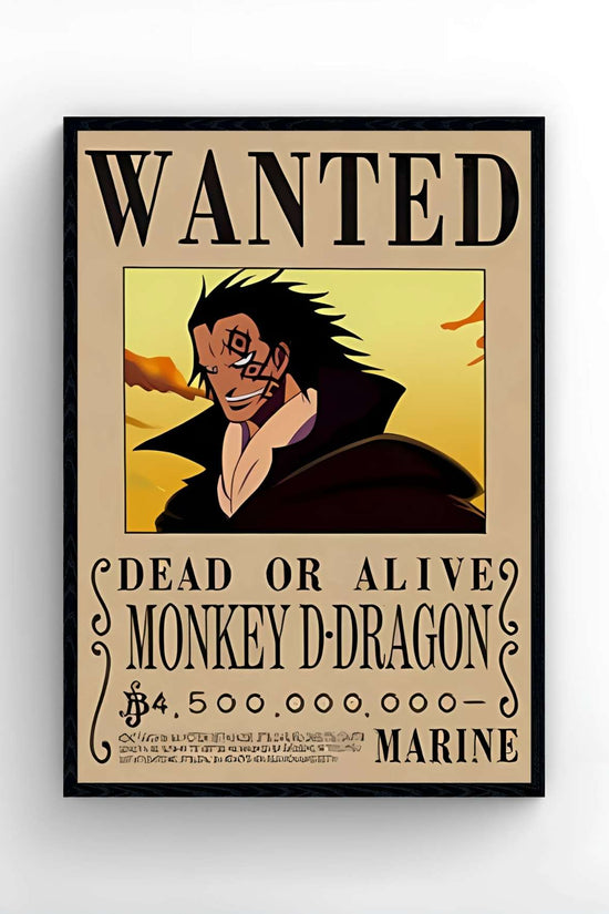 One Piece - WANTED 3D