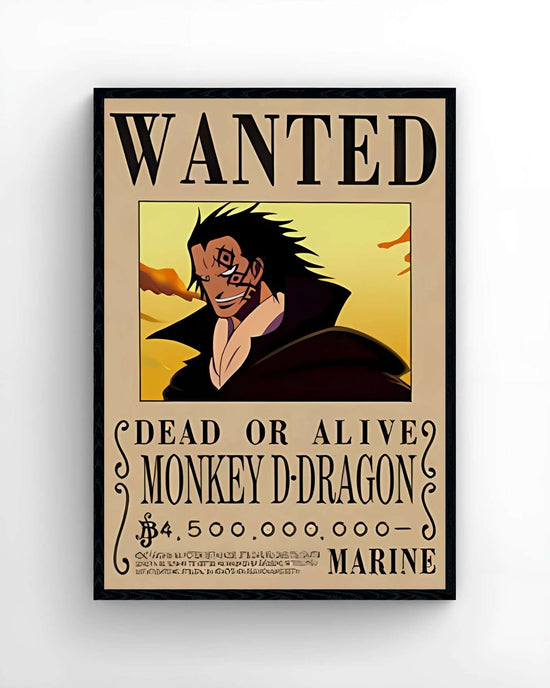 One Piece - WANTED 3D
