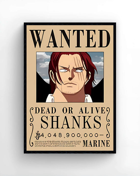 One Piece - WANTED 3D