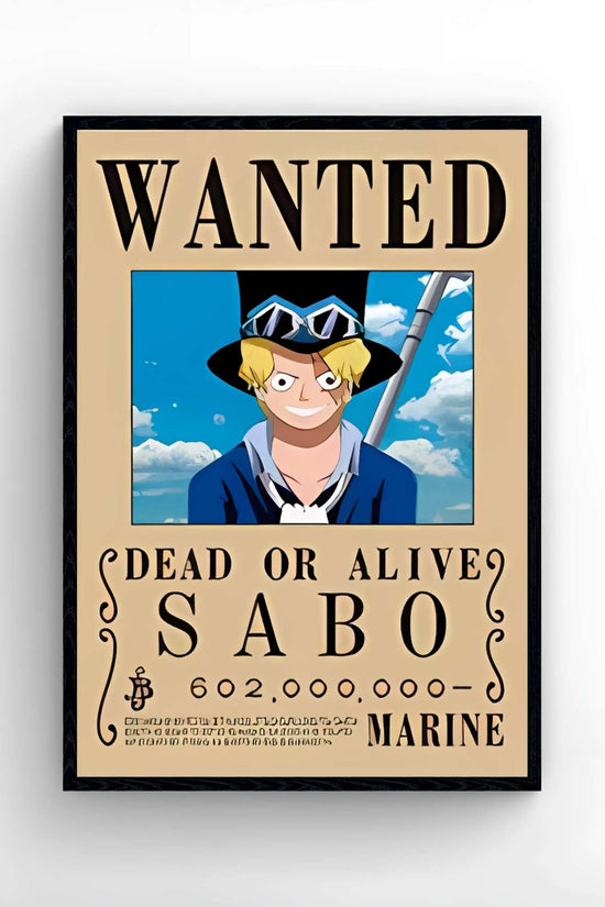 One Piece - WANTED 3D