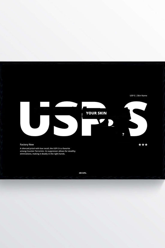 Custom USP-S