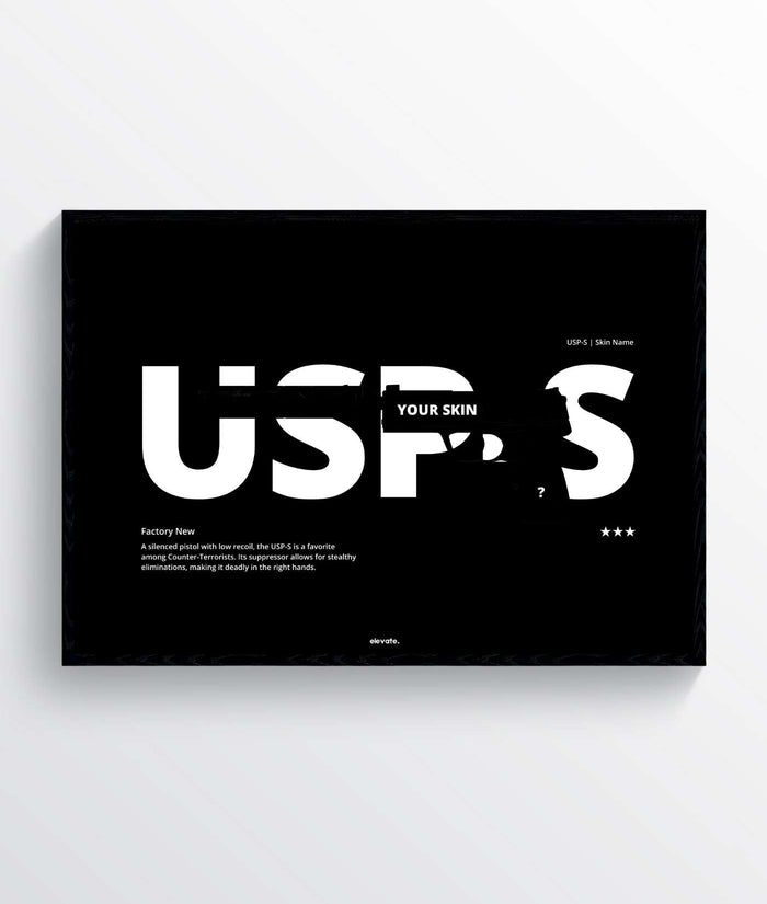 Custom USP-S