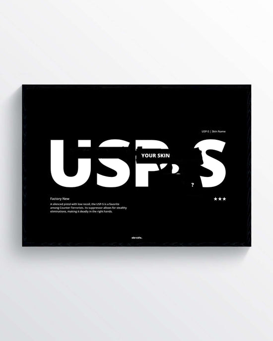 Custom USP-S