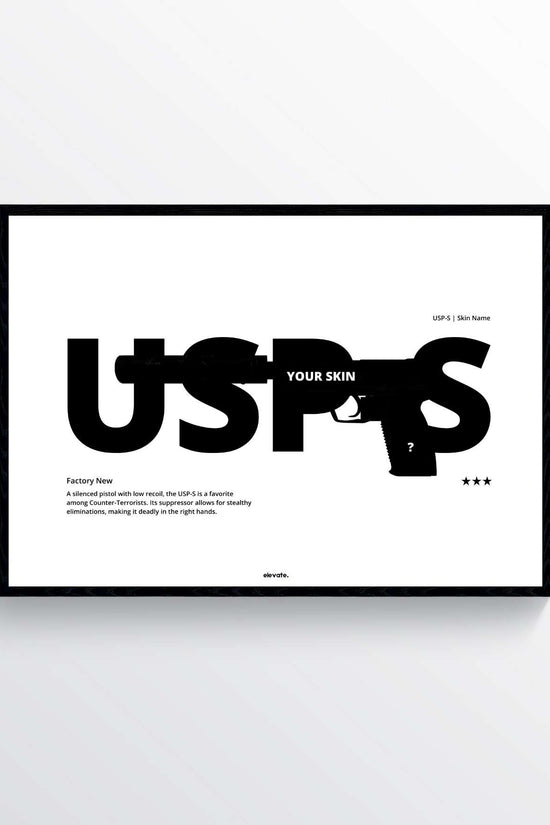 Custom USP-S
