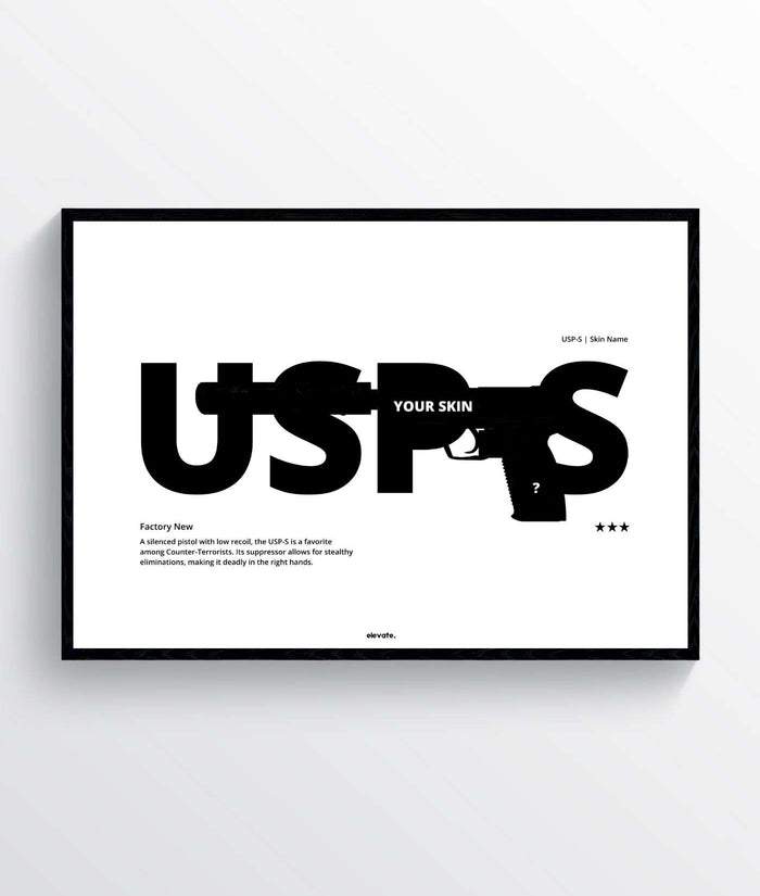 Custom USP-S