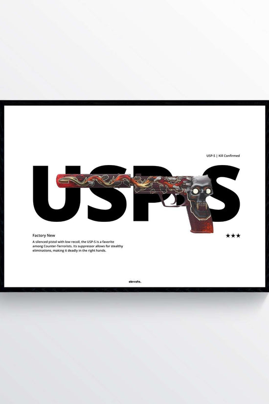 USP-S - Kill Confirmed